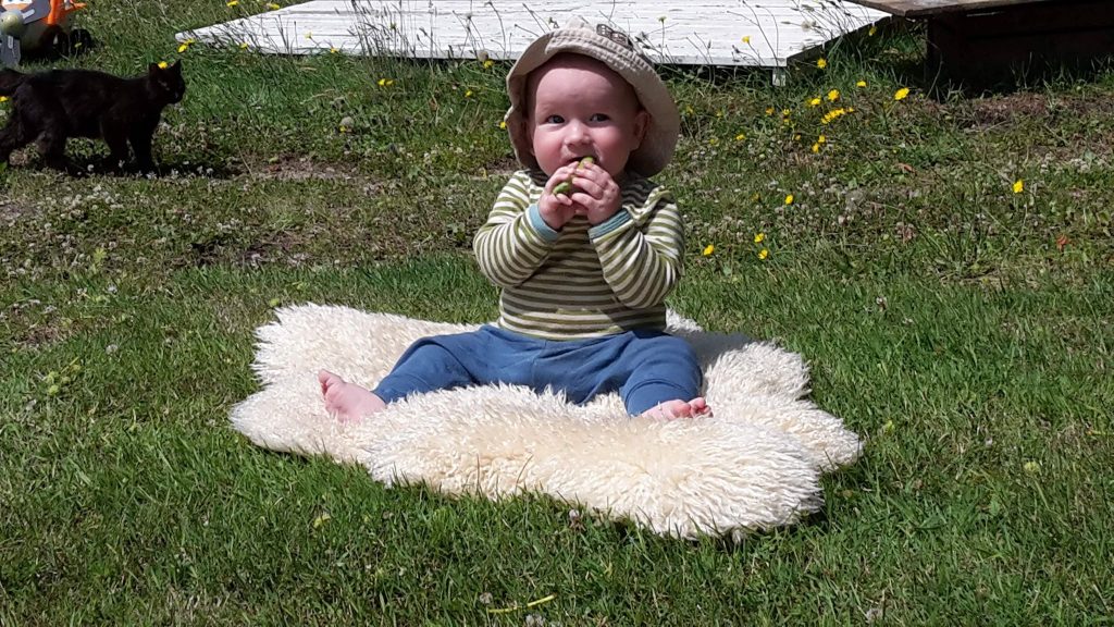 100095274 289524562443330 6250099201561067520 n